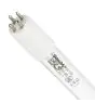 Philips T5 UV - C HE 75W - Ultraviolett | 155cm - 4 - Pin - UNP